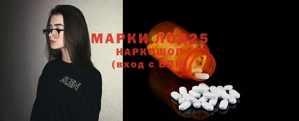 ГАЛЛЮЦИНОГЕННЫЕ ГРИБЫ Нягань