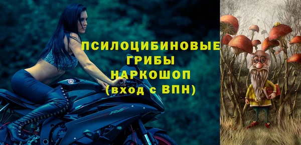 ГАЛЛЮЦИНОГЕННЫЕ ГРИБЫ Нягань