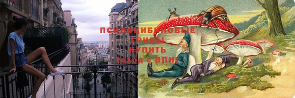 метадон Няндома