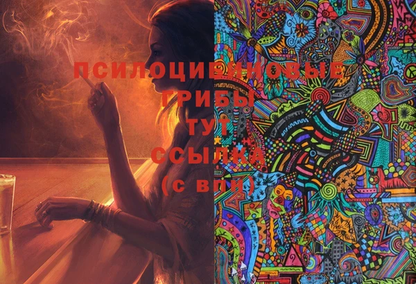 ГАЛЛЮЦИНОГЕННЫЕ ГРИБЫ Нягань