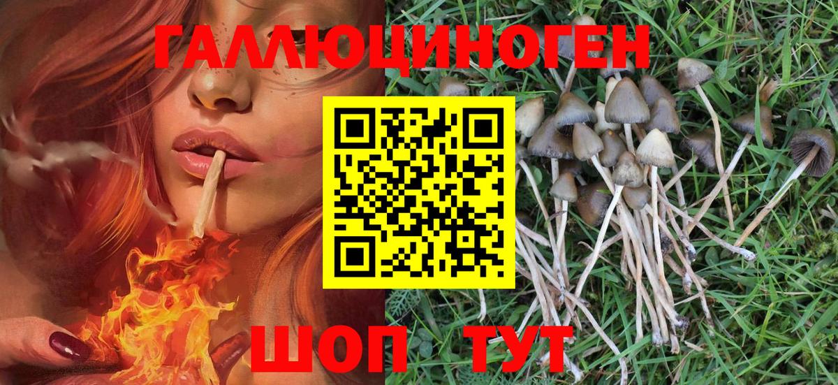 Псилоцибиновые грибы ЛСД  Вход с VPN  Боровичи  Псилоцибиновые грибы Magic Shrooms 
