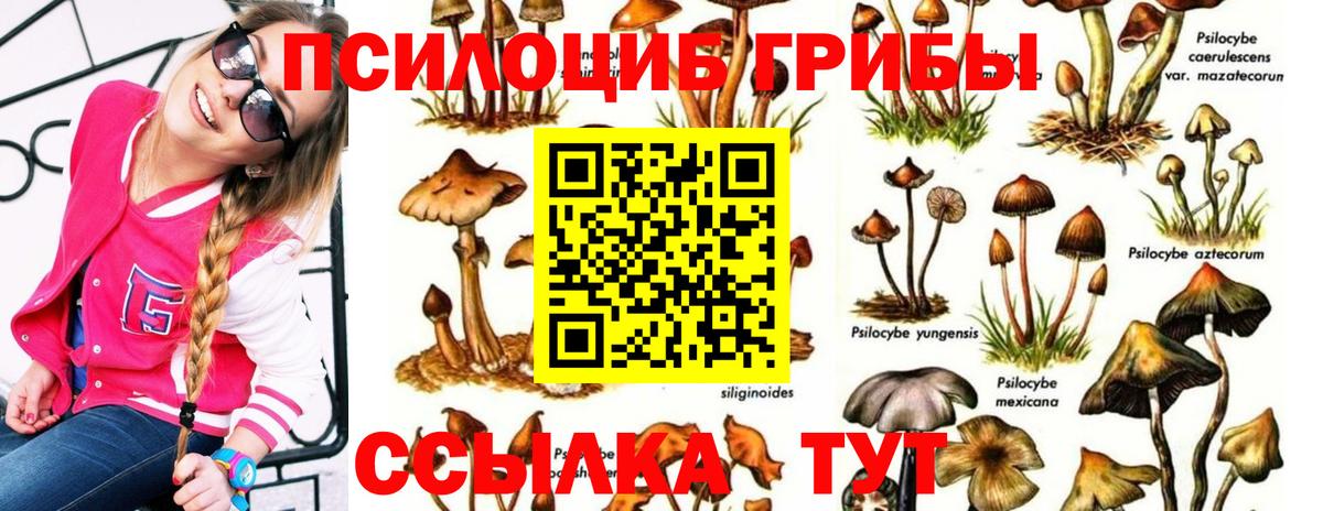 Псилоцибиновые грибы мицелий Боровичи