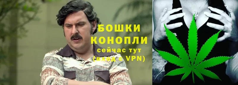 Канабис Bruce Banner  Боровичи 