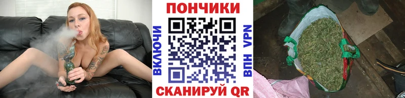 Бошки Шишки Bruce Banner Боровичи